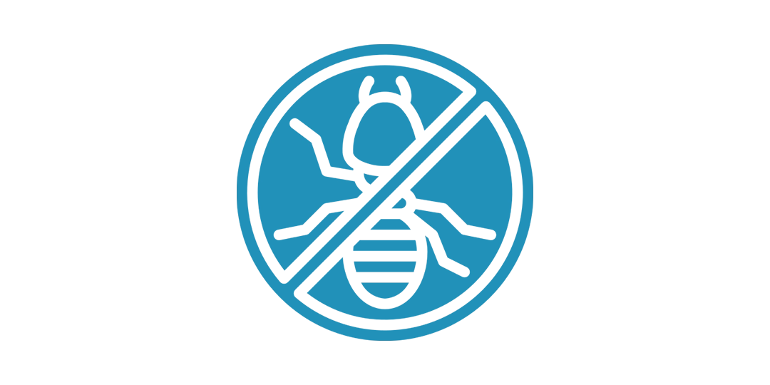 Termites Diagnostic Termites